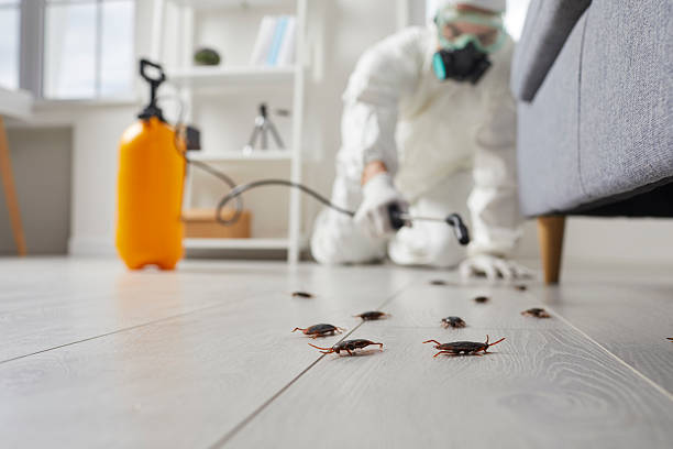 Trusted Cockroach Control service in Millington, NJ - Nex Pest Control